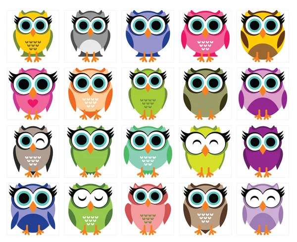 Big Collection of Funny Owl — Stock Vector