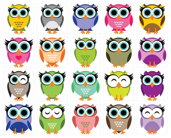 Big Collection of Funny Owl — Stock Vector