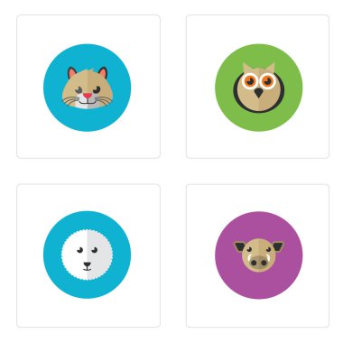 Güzel hayvan kafası.