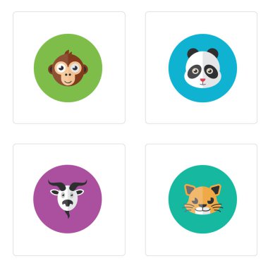 Güzel hayvan kafası.