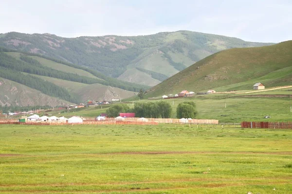 Από-κλάδο στο εθνικό πάρκο στο Ουλάν Μπατόρ, Μογγολία — Φωτογραφία Αρχείου