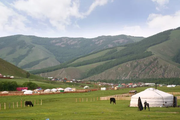 W obozie ger na dużej łące w Ułan Bator, mongolia — Zdjęcie stockowe