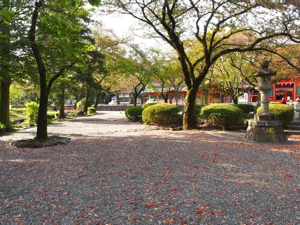 El hermoso jardín de Japón en kyoto, Japón — Foto de Stock