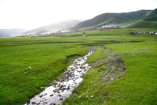 在乌兰巴托，蒙古 gorkhi terelj 国家公园 — 图库照片