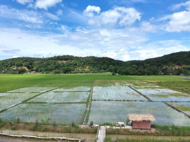 Kuş bakışı chiang dao City, chiangmai Tayland 