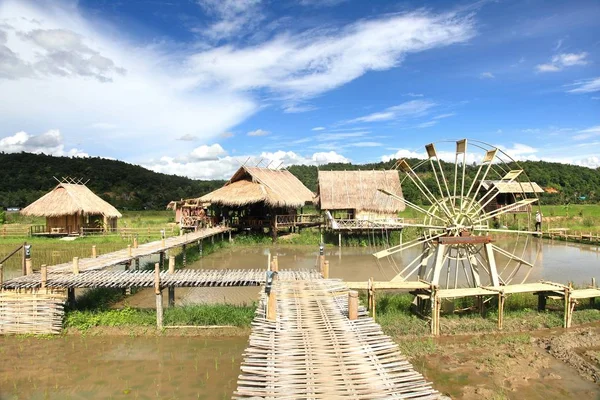 La casa e il campo di riso nella città di chiang dao, chiangmai Thailandia — Foto Stock