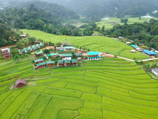 Rice terrace at Doi Inthanon National Park  Chom Thong District  Chiang Mai Province, Thailand in bird eye view