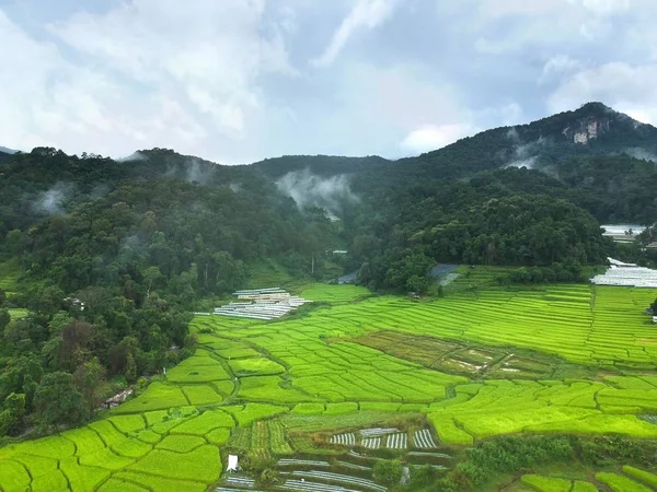 泰国清迈多伊安塔农国家公园的稻田鸟瞰 — 图库照片
