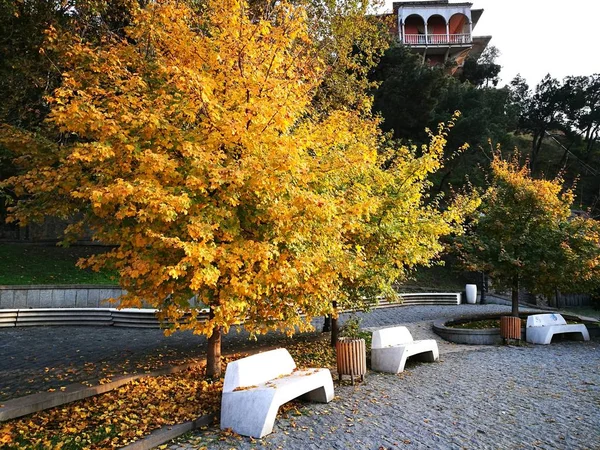 The autumn in Tbilisi city  at Georgia — Stock Photo, Image