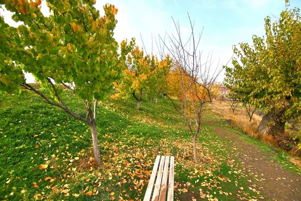 Yerevan City, Armeni sonbahar sezon