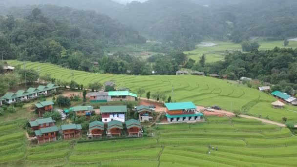 Rice Terrace Doi Inthanon National Park Chom Thong District Chiang — Αρχείο Βίντεο