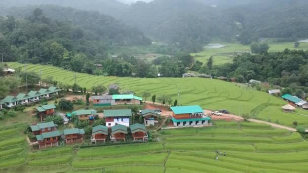 Terraço Arroz Parque Nacional Doi Inthanon Chom Thong District Chiang — Vídeo de Stock