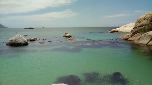 坎普斯湾是南非开普敦最受欢迎的旅游胜地 — 图库视频影像