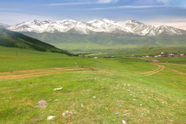 Kırgızistan 'daki Tian Shan dağlarının manzarası.
