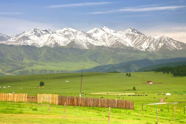 Hermoso Paisaje Con Las Montañas Tian Shan Naryn Kirguistán — Foto de Stock