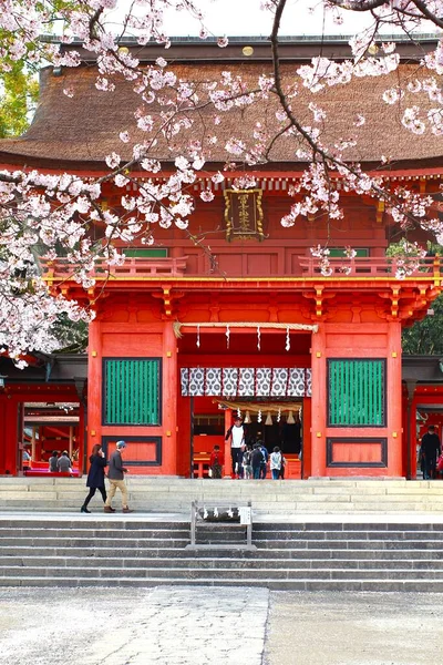 Sakura Fujisan Sengen Shrine Fujinomiya City Japón — Foto de Stock