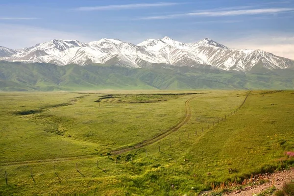 Kırgızistan 'daki Tian Shan dağlarının manzarası.