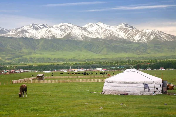 Camp Ger Dans Une Grande Prairie Naryn Kirghizistan — Photo