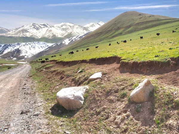 Bela Paisagem Com Montanhas Tian Shan Naryn Quirguistão — Fotografia de Stock