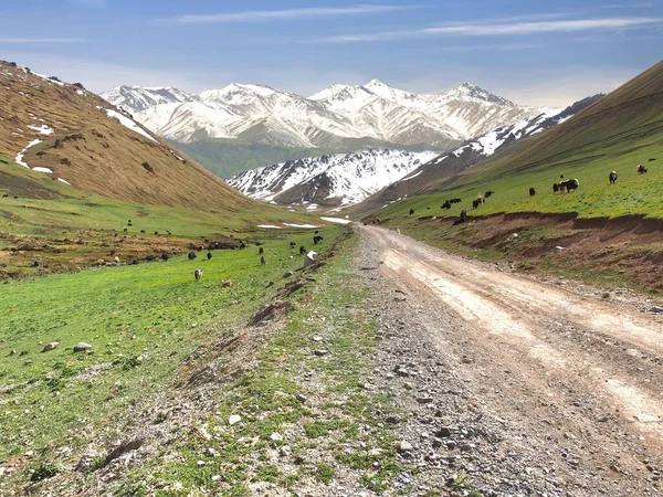 Bela Paisagem Com Montanhas Tian Shan Naryn Quirguistão — Fotografia de Stock