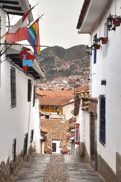 Cusco Perú Diciembre 2019 Ambiente Del Centro Ciudad Cusco Llama — Foto de Stock