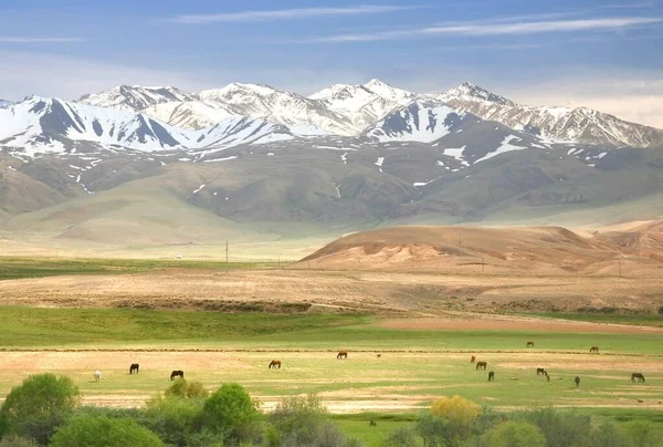 Belo Cenário Lago Song Kul Naryn Com Montanhas Tian Shan — Fotografia de Stock