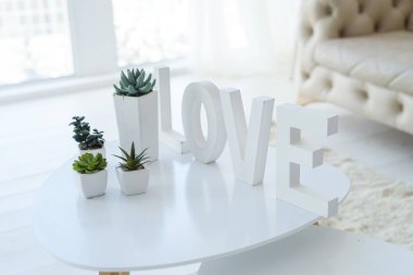 Aşk yazıt succulents beyaz oturma odasında beyaz bir tablo