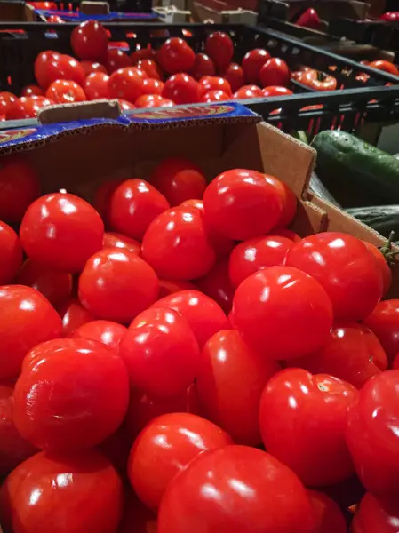 Caixa Tomate Vermelho Apetitoso — Fotografia de Stock
