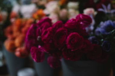 Çok sayıda farklı çiçek çiçek pazarı içinde