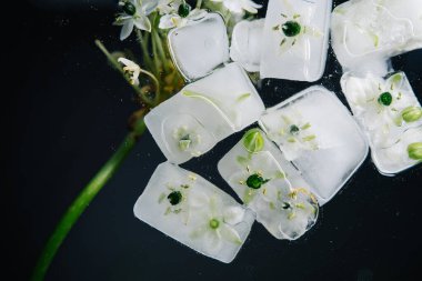 Siyah zemin üzerinde donmuş buz küpleri