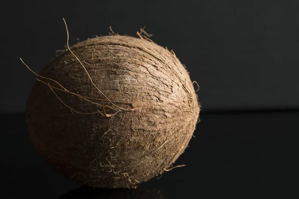 Coconut, background, focus