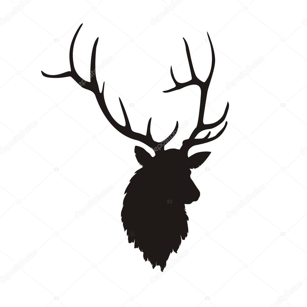 Silhouette of a head of a beautiful deer with horns