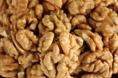 plaka üzerinde ceviz ahşap bir pansiyondur