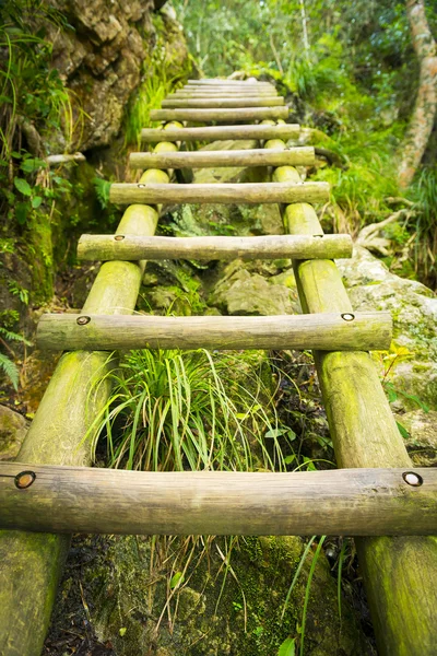 Hiking Ladder Outdoors — Stock Photo, Image