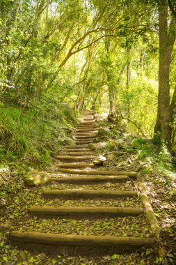 İz merdiven tablo dağda yürüyüş