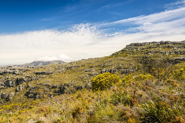 Toppen av Table Mountain — Stockfoto