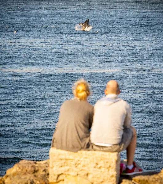 Casal em Hermanus ao pôr do sol baleia assistindo — Fotografia de Stock