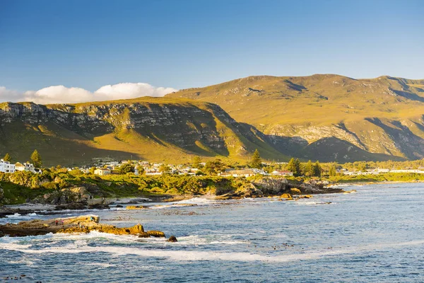 Hermanus balina Festivali — Stok fotoğraf