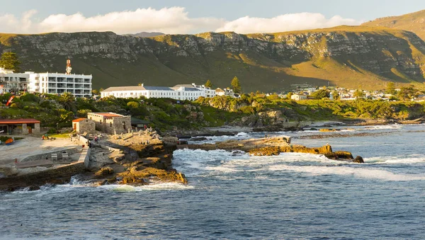 Festival des baleines d'Hermanus — Photo