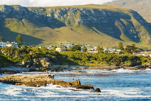 Festa delle balene di Hermanus — Foto Stock