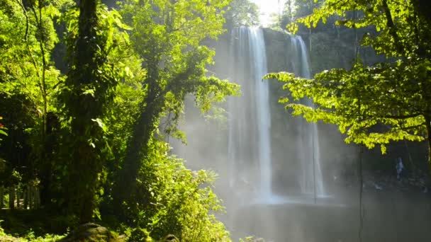 Misol Ha Waterfall Chiapas Mexico — Αρχείο Βίντεο