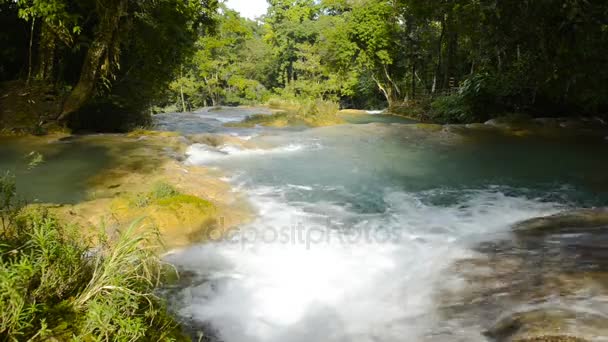 Agua Azul Waterfalls Chiapas Mexico — Stockvideo