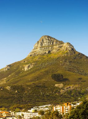 Signal Hill Cape Town, Güney Afrika üzerinde