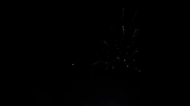 Fogos de artifício no céu noturno — Vídeo de Stock