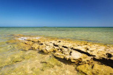Yeni Kaledonya Güney Pasifik temizlemek tropikal sularda üzerinde ördek adadan görüntülemek