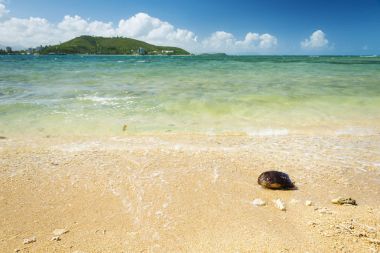 Noumea Yeni Kaledonya Beach