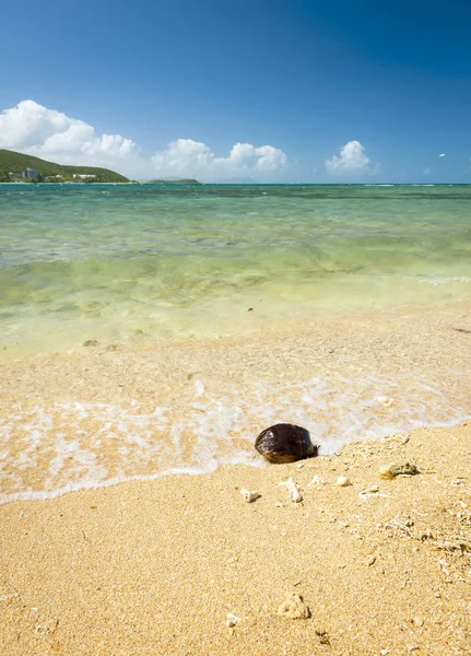 Playa de verano caliente — Foto de Stock