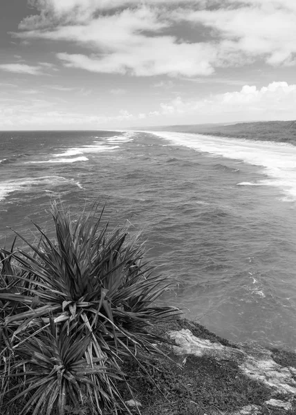 Spiaggia australiana in bianco e nero — Foto Stock