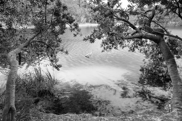 Blue Lake Stradbroke Island noir et blanc — Photo