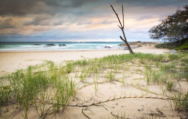 Australia Beach Sunrise clipart